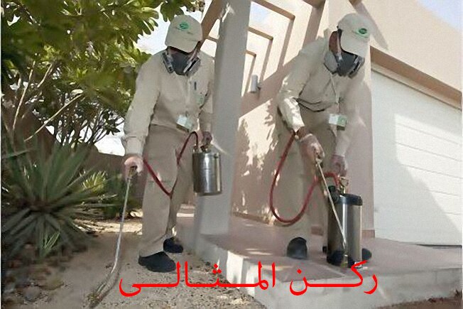شركة رش المبيدات بالدمام