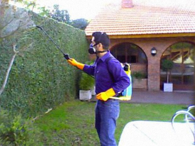 شركة رش مبيدات بالاحساء