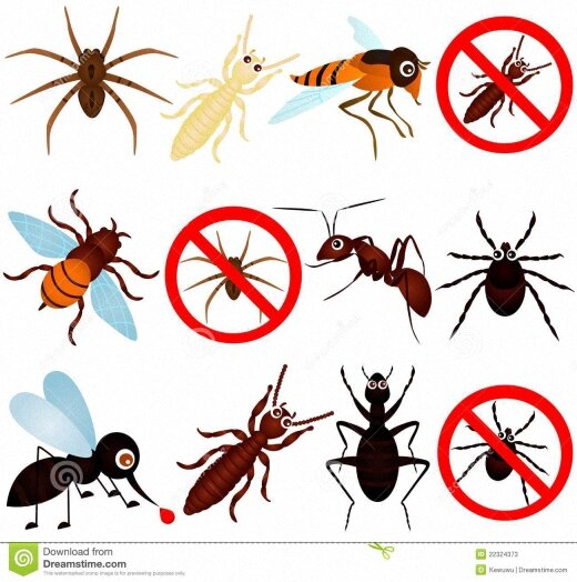 شركة رش مبيدات بالخبر