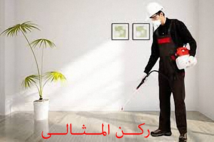 شركة رش مبيدات بالدمام