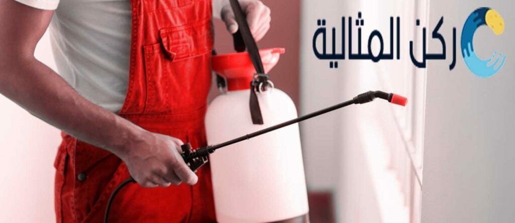 ارخص شركة مكافحة حشرات بالجبيل