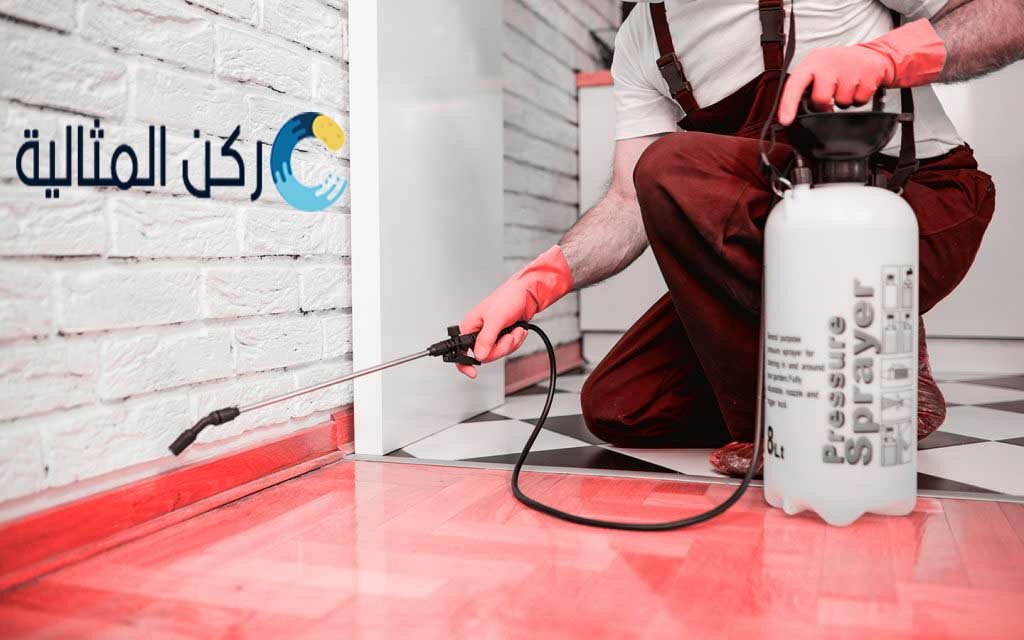 شركة مكافحة حشرات بالخبر