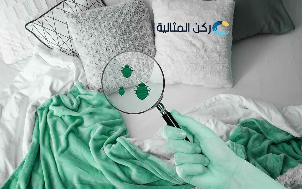 شركة مكافحة حشرات بالقطيف