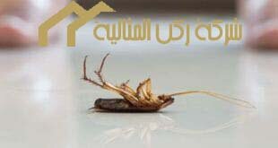 شركة مكافحة حشرات بالاحساء