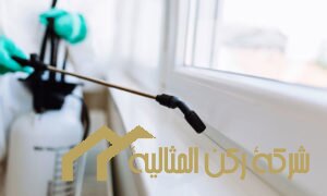 شركة مكافحة حشرات بالخبر .*
