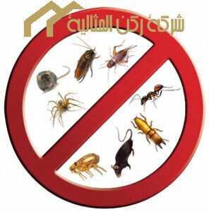 شركة مكافحة حشرات بالدمام ...