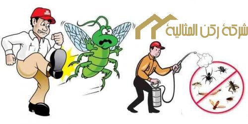 شركة مكافحة حشرات بالخبر .*