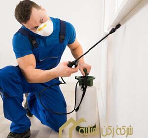 شركة مكافحة حشرات بالدمام