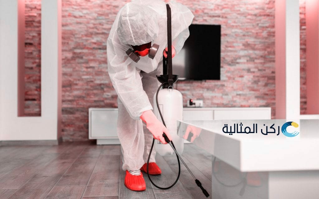 افضل شركة مكافحة حشرات بالاحساء