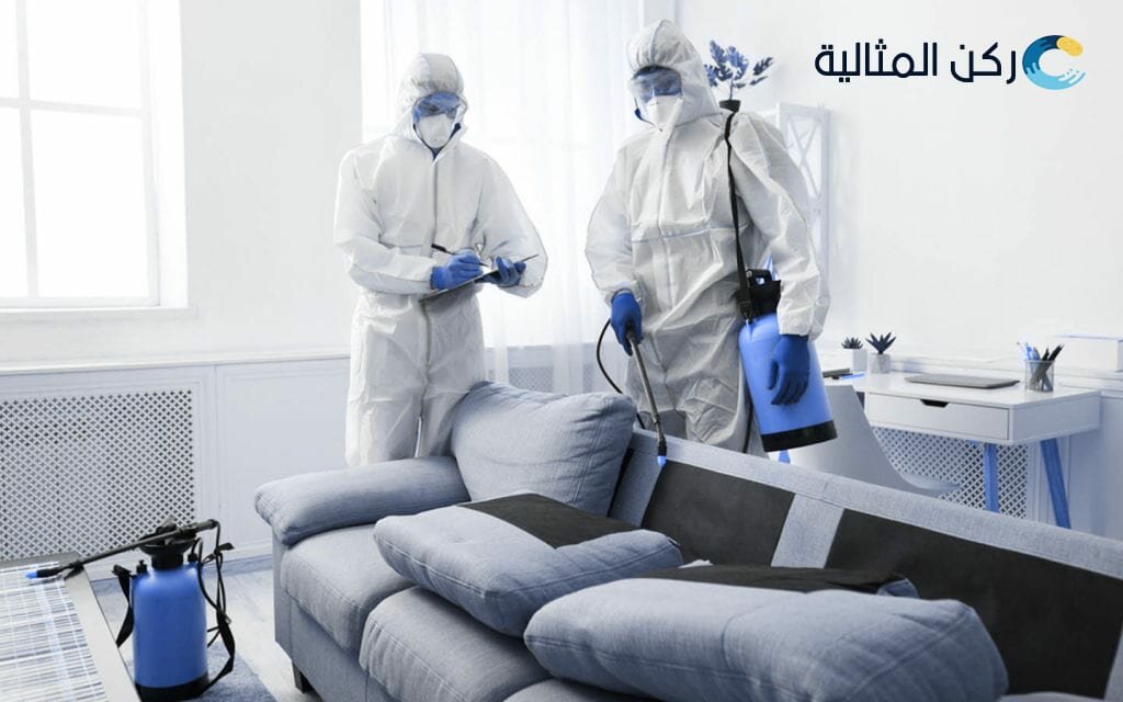 ارخص شركة مكافحة حشرات بالاحساء