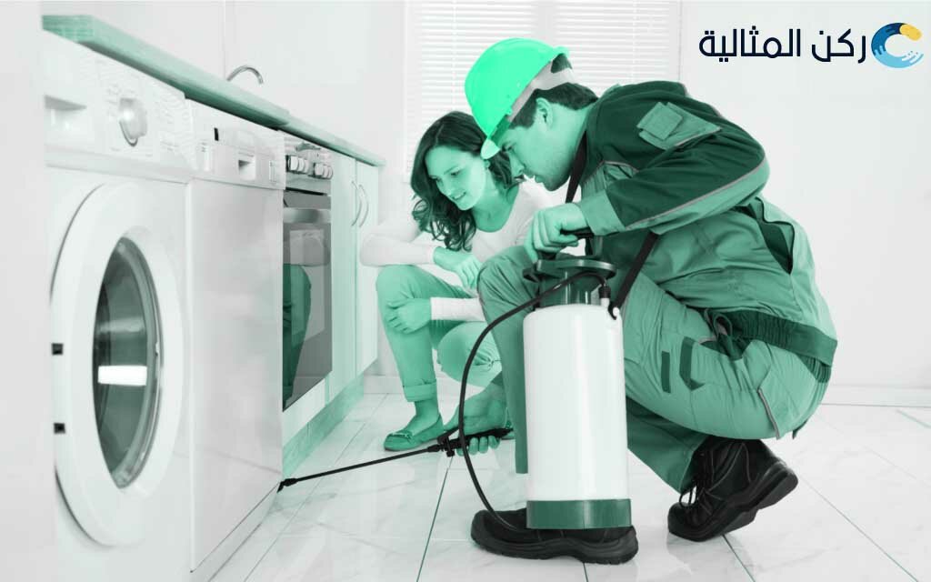 شركة مكافحة الصراصير بالدمام