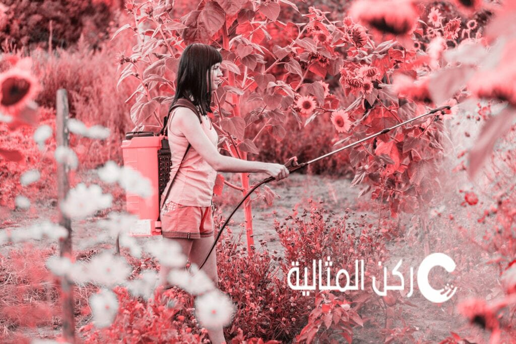 شركة تعقيم في القطيف